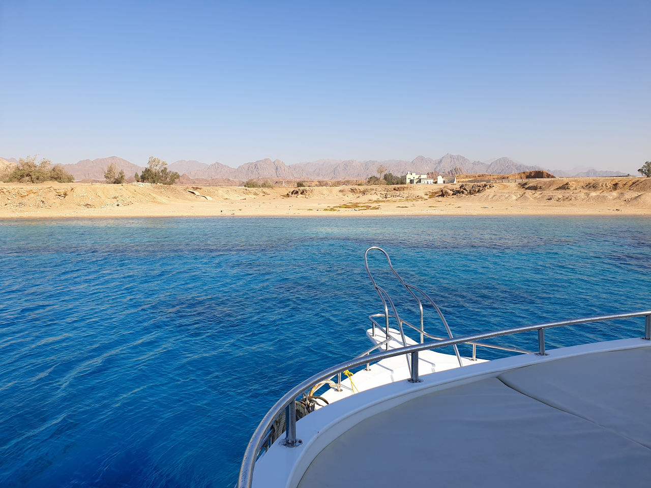 The best company to book a diving safari in Marsa Alam